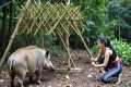 Full 45-Day Survival Video: Jungle