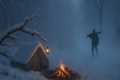 Winter Survival in Wild Woods |