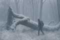 Survival Challenge in Heavy Snow and