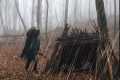 Building a Warm and Cozy NEST |