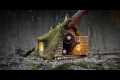 Building a Treehouse Shelter on a