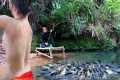How to Catch Stream Fish. Big Fish