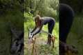 Building the Ultimate Forest Bed for