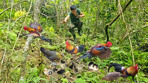 200 days of building a farm in the forest, setting traps, wild chickens, wild boars, night hunting