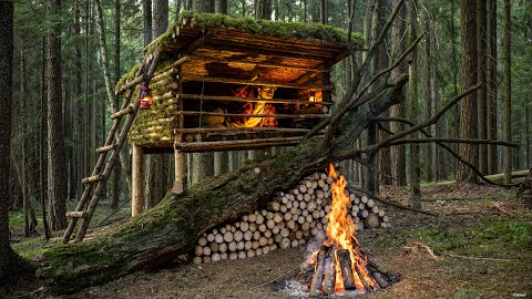 Bushcraft Survival. Building a Shelter by a Fallen Tree to Escape Bad Weather & Wild Animals.