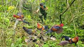 200 days of building a farm in the forest, setting traps, wild chickens, wild boars, night hunting
