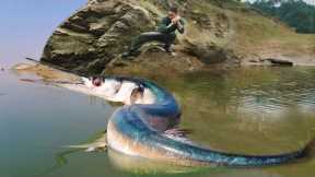 Skills, to catch giant fish underwater, build new shelters, survival farm