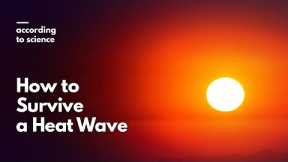 How to Survive a Heat Wave, According to Science