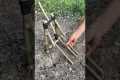 Trap in the Forest! #survival