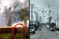 People Who Survived Terrifying