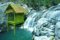 Wilderness Survival in the