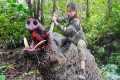 200 days of survival in the wild,