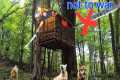 Building a mobile Tree Shelter ,the