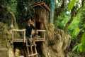 5 days Build a survival shelter under 