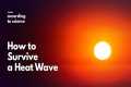 How to Survive a Heat Wave, According 