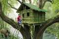 Building a Bamboo Shelter in a Tree - 