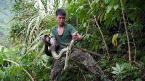 Survival in the wild, making bamboo traps, trapping furry animals, facing dangerous giant pythons