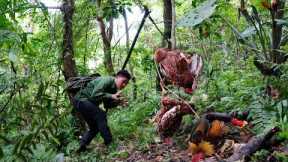 Full Video: 25 Days Alone in the Wild Facing Dangerous Animals | Survival Skills