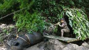 Wild boar trapping skills, building new shelters, survival alone