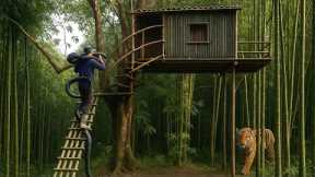 Built a Bamboo Treehouse with Campfire to Survive Wild Animal Attacks