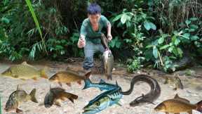 Effective primitive fishing skills, large schools of fish, fishing in the rainy season, survival