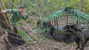 FULL VIDEO:90 Days Building Shelter , Wild Chicken Hunting, Fishing, Survival Alone, Survival Skills