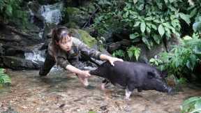 Skills. Catching stream fish, catching wild boars with bare hands, survival, linh tân Builing