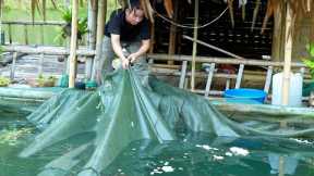 Fish Trapping, Wild Foraging, Catch and Cook: River Survival | EP.478