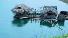 Living Off The Rainforest: Foraging, Fishing, Honey Harvesting, Survival Alone