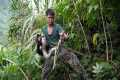 Survival in the wild, making bamboo