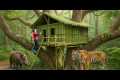 Survival Skills : Building a Bamboo