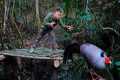 wild chicken trapping skills, shelter 
