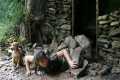 Stone house suddenly collapsed,