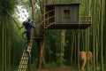 Built a Bamboo Treehouse with