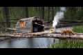 Bushcraft Survival Shelter Over Water 