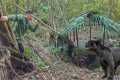 FULL VIDEO:90 Days Building Shelter , 