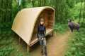 Building a Survival Wooden Shelter in 
