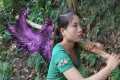 Wildlife Tracking, with many sharp
