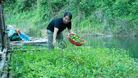 Night Hunting, Gathering Firewood & Cooking Fresh Forest Vegetables: River Survival | EP.484