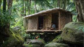 Solo Bushcraft Survival in Jungle - Building a Survival Shelter Over 10 Years - Catch Fish Cooking
