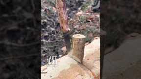 Survival Bushcraft Tips & Tricks You Must Know #survival #bushcraft #outdoors #camping