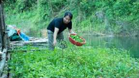 Night Hunting, Gathering Firewood & Cooking Fresh Forest Vegetables: River Survival | EP.484