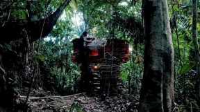 Solo Survival in the Rain, Building a Complete and Warm Bushcraft Shelter, Shrimp Traps
