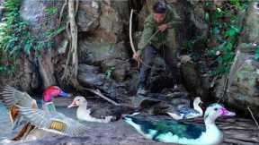 Build water bridge, make bow, hunt wild duck, wilderness | survival skills