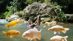 Survival in the wild, Building a kitchen, hunting fish in the wild, giant stream fish, survival life