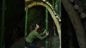 Forest Girl Builds a Bamboo House Under a Rock | Jungle Survival Skills#forestgirl #junglelife#viral