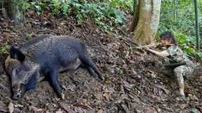 wild boar hunting skills, making traps to catch wild boars, survival alone