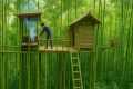 Building a Bamboo Forest Shelter |