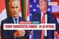 US Ambassador Admits “Trump