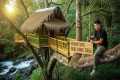 Build a Secret Bamboo Treehouse on